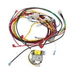 42001-0104S | Heater Wiring Harness