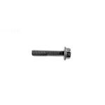 ECX10271 | Filter Head Screw -Ec30/40/50-