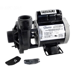 3410020-1E | Iron Might Spa Pump 1-00-0183
