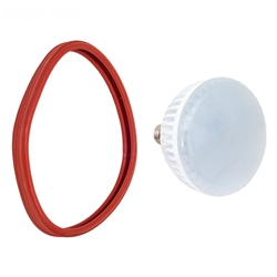 LED Pool Light Replacement Bulb Cool White 12v 6500k