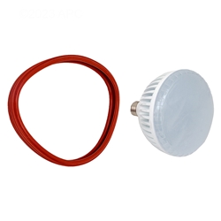 LED Pool Light Replacement Bulb Cool White 120v 6500k