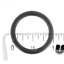 SPX0727XZ1 | Key O-Ring (20Mm)